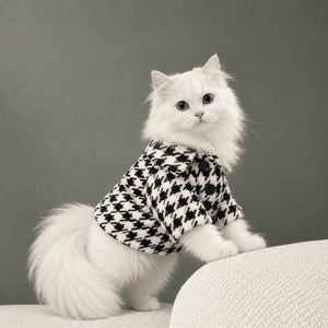 Houndstooth Shirt on a cat
