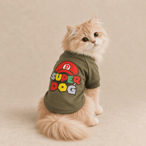 Super Dog sweatshirt on a cat
