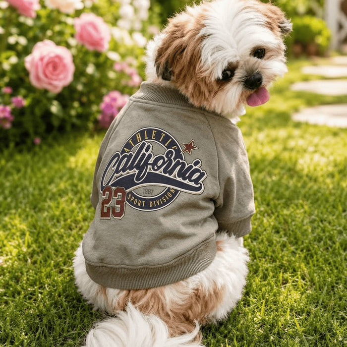 California Athletic