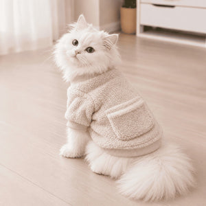 Cream Sherpa Pocket on a cat