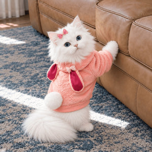 Bunny Hoodie on a cat