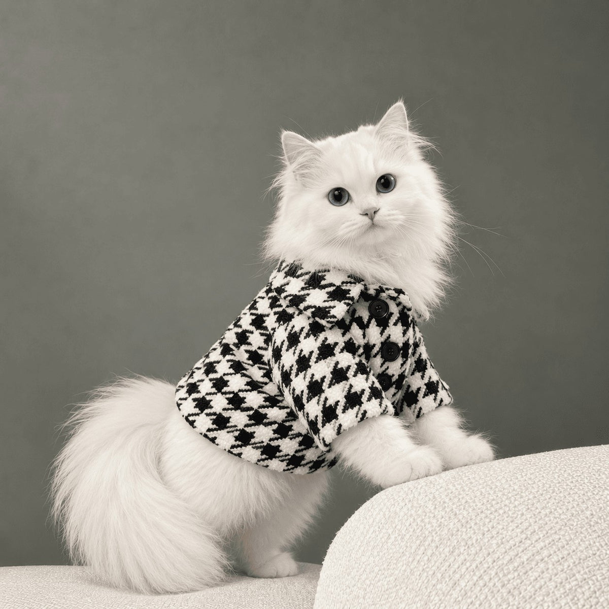 Houndstooth Shirt on a cat