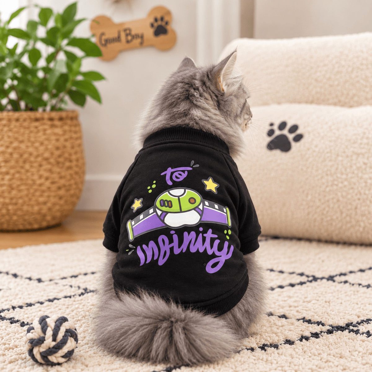 To Infinity cat sweatshirt