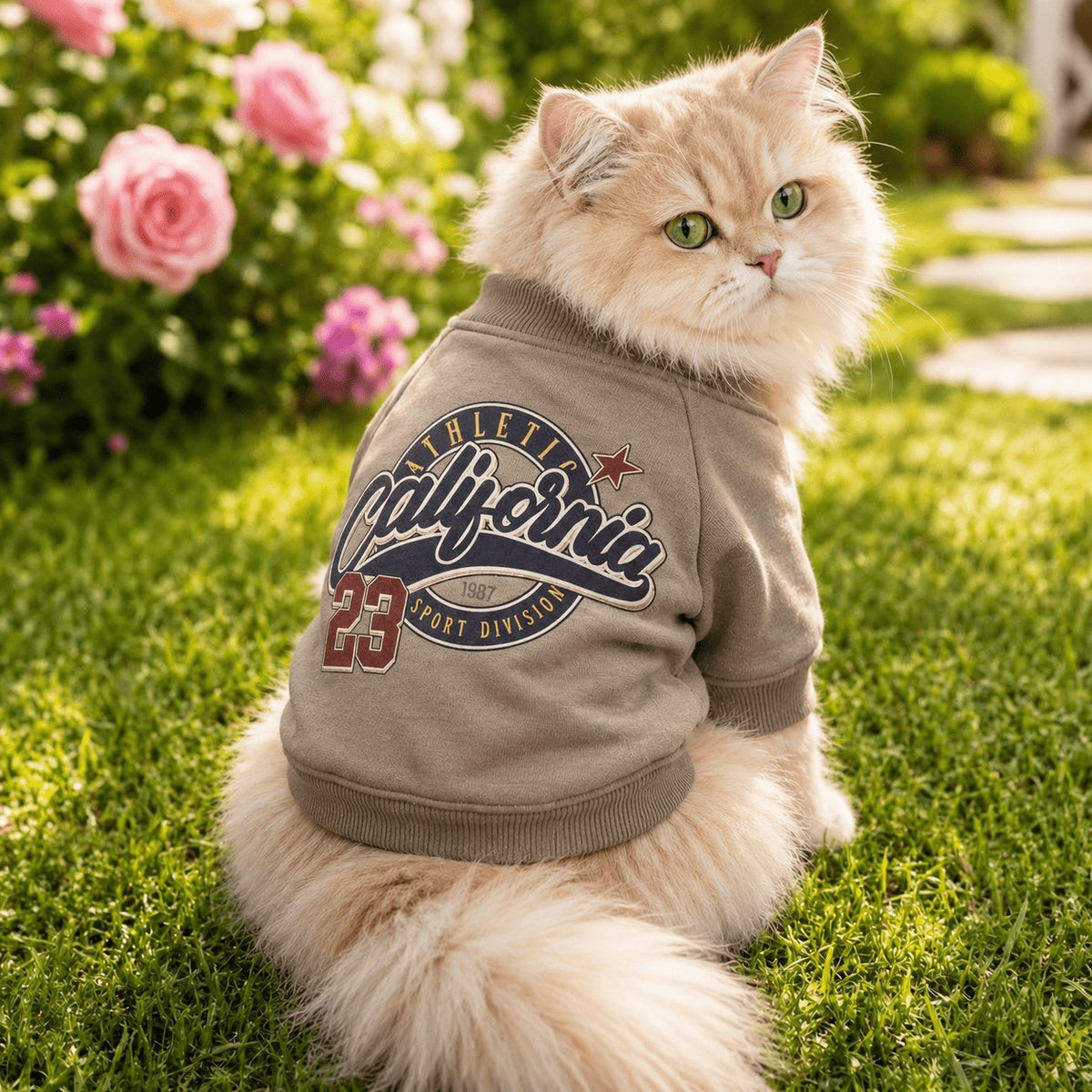California Athletic cat sweatshirt